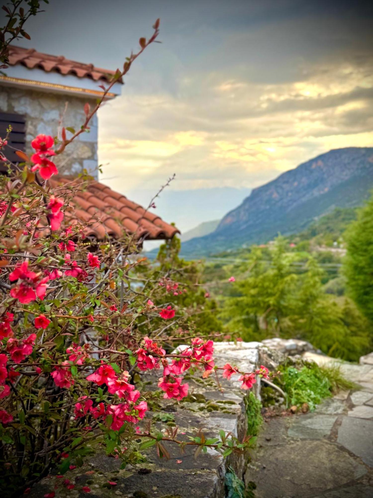 Rock Dandy Deluxe Chalet In Arachova - Delphi, Sauna, Prv Parking, Amazing View المظهر الخارجي الصورة